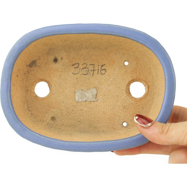 Maceta ovalada azul para bonsái de Hattori - 157 x 115 x 37 mm