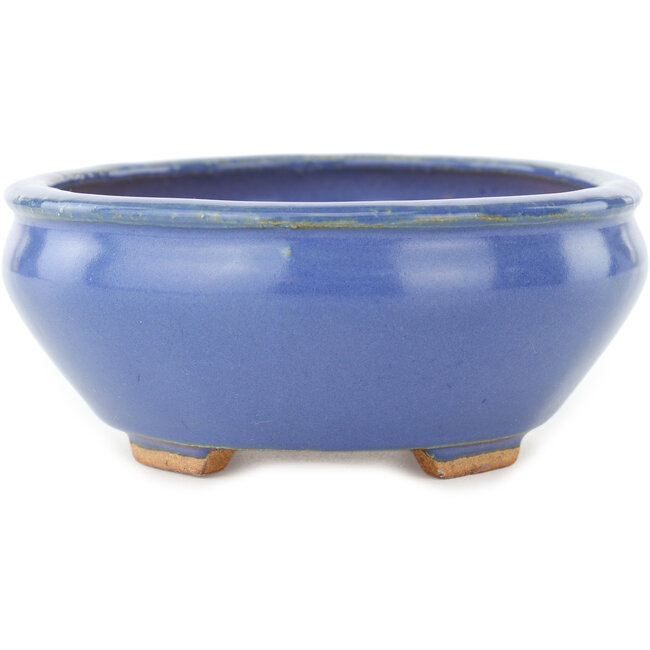 Maceta ovalada azul para bonsái de Hattori - 160 x 140 x 57 mm