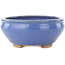 Vaso bonsai ovale blu di Hattori - 160 x 140 x 57 mm