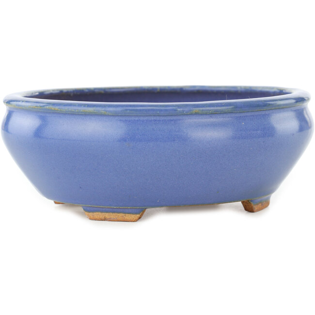 Oval blue bonsai pot by Hattori - 160 x 140 x 57 mm
