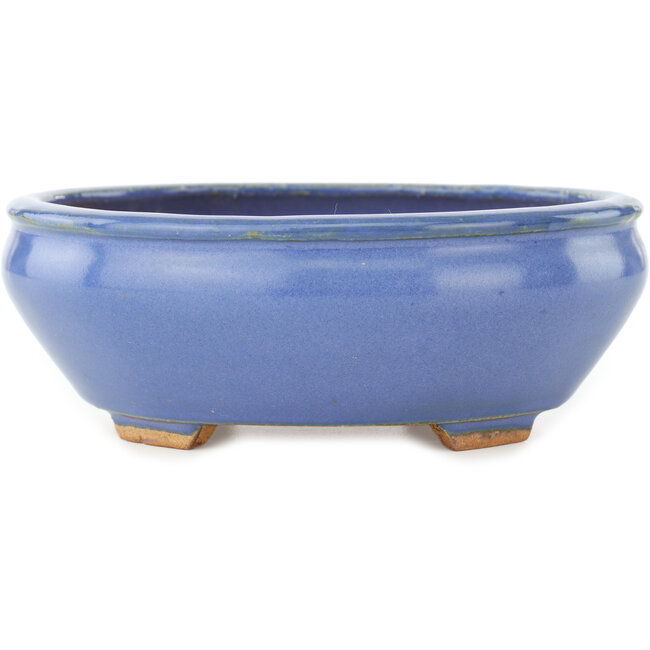 Maceta ovalada azul para bonsái de Hattori - 160 x 140 x 57 mm