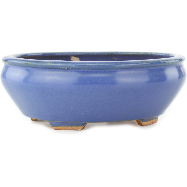 Pot à bonsaï ovale bleu par Hattori - 160 x 140 x 57 mm