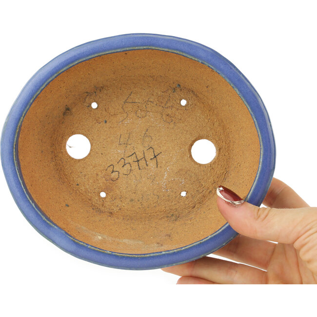 Ovale blauwe bonsai pot van Hattori - 160 x 140 x 57 mm