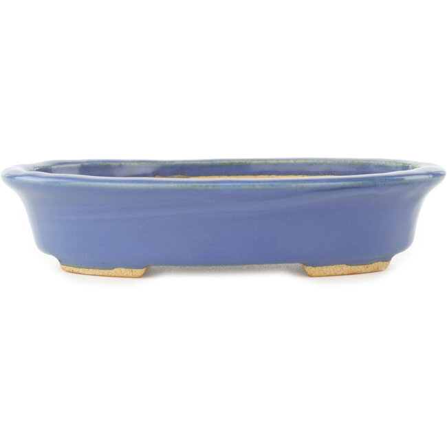 Ovale blauwe bonsai pot van Hattori - 165 x 132 x 38 mm