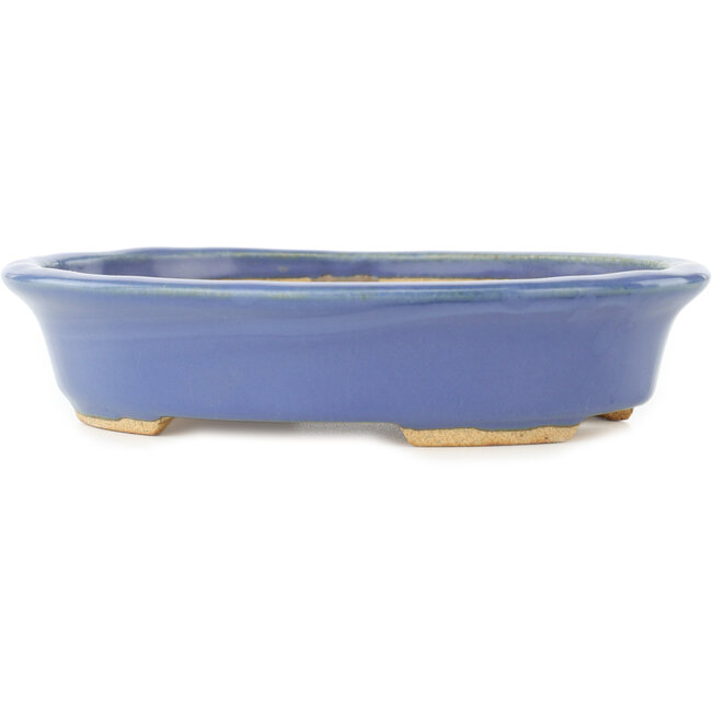 Maceta ovalada azul para bonsái de Hattori - 165 x 132 x 38 mm