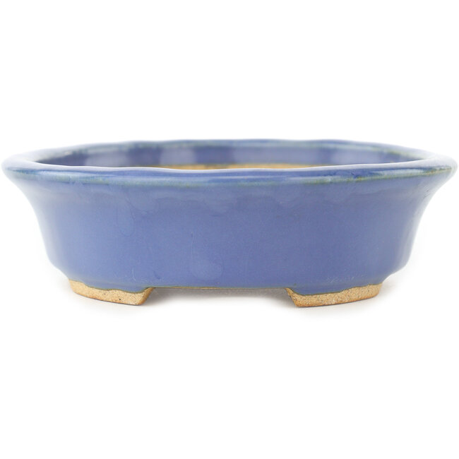 Ovale blauwe bonsai pot van Hattori - 165 x 132 x 38 mm