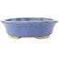 Ovaler blauer Bonsai-Topf von Hattori - 165 x 132 x 38 mm