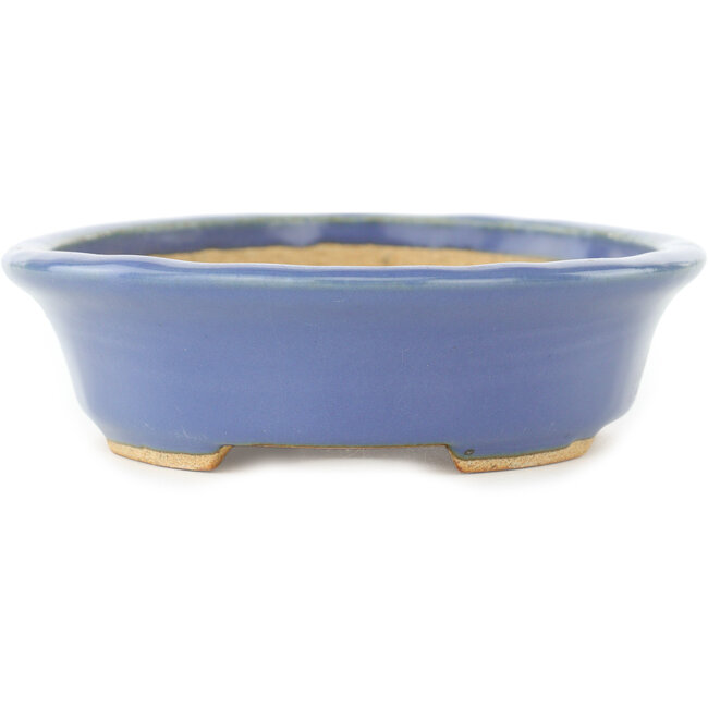 Ovale blauwe bonsai pot van Hattori - 165 x 132 x 38 mm
