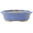 Vaso bonsai ovale blu di Hattori - 165 x 132 x 38 mm