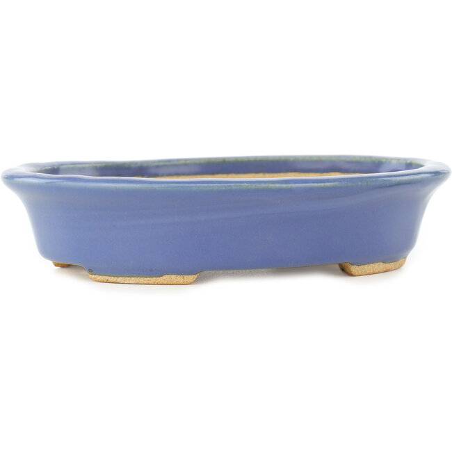 Ovale blauwe bonsai pot van Hattori - 165 x 132 x 38 mm