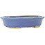 Ovaler blauer Bonsai-Topf von Hattori - 165 x 132 x 38 mm