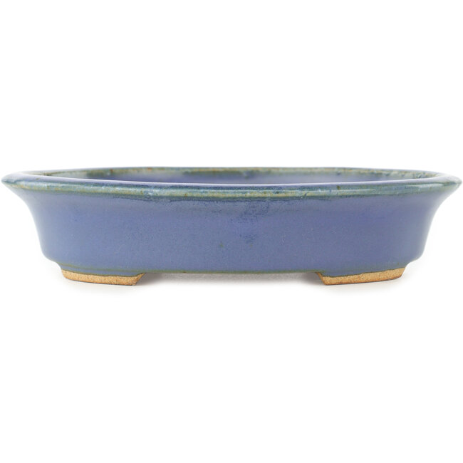 Ovale blauwe bonsai pot van Hattori - 165 x 132 x 38 mm