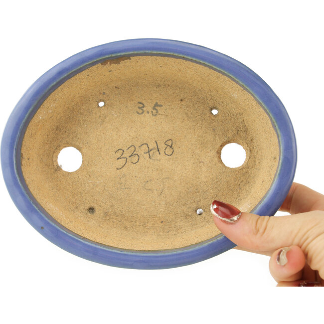 Vaso bonsai ovale blu di Hattori - 165 x 132 x 38 mm