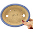 Pot à bonsaï ovale bleu par Hattori - 165 x 132 x 38 mm