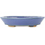 Ovale blauwe bonsai pot van Hattori - 167 x 130 x 35 mm