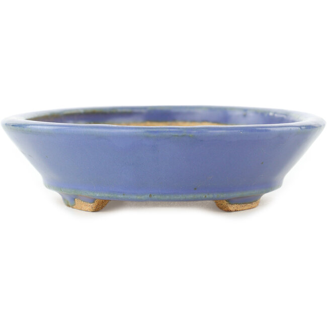 Pot à bonsaï ovale bleu par Hattori - 167 x 130 x 35 mm