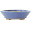 Ovale blauwe bonsai pot van Hattori - 167 x 130 x 35 mm