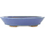 Ovale blauwe bonsai pot van Hattori - 167 x 130 x 35 mm