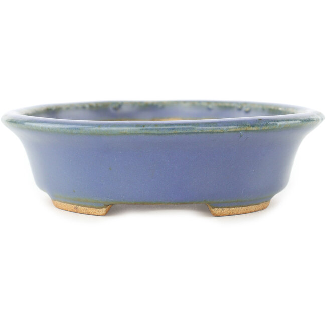 Maceta ovalada azul para bonsái de Hattori - 165 x 132 x 38 mm