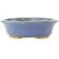 Ovale blauwe bonsai pot van Hattori - 165 x 132 x 38 mm