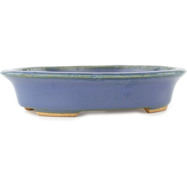 Pot à bonsaï ovale bleu par Hattori - 165 x 132 x 38 mm