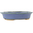 Ovale blauwe bonsai pot van Hattori - 165 x 132 x 38 mm