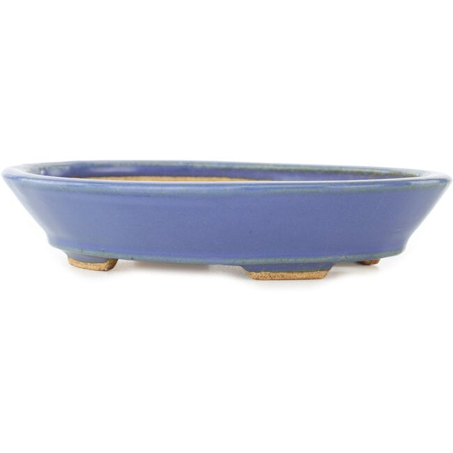 Pot à bonsaï ovale bleu par Hattori - 167 x 130 x 35 mm