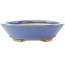 Ovale blauwe bonsai pot van Hattori - 167 x 130 x 35 mm