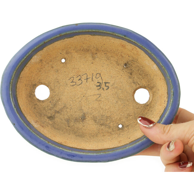 Maceta ovalada azul para bonsái de Hattori - 165 x 132 x 38 mm