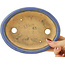 Ovale blauwe bonsai pot van Hattori - 165 x 132 x 38 mm