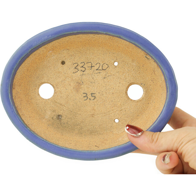 Vaso bonsai ovale blu di Hattori - 167 x 130 x 35 mm