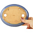 Pot à bonsaï ovale bleu par Hattori - 165 x 132 x 38 mm