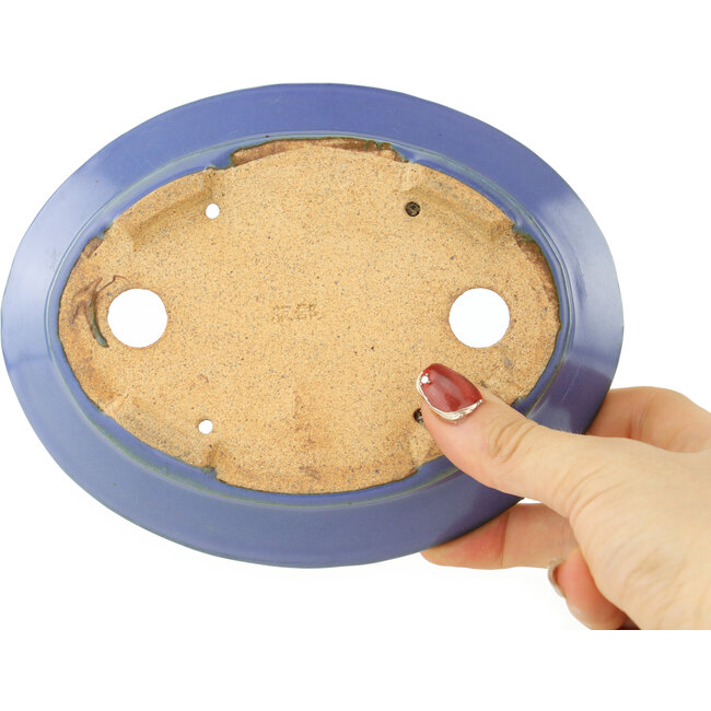 Maceta ovalada azul para bonsái de Hattori - 167 x 130 x 35 mm