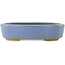 Ovale blauwe bonsai pot van Hattori - 142 x 110 x 35 mm