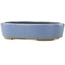 Pot à bonsaï ovale bleu par Hattori - 142 x 110 x 35 mm