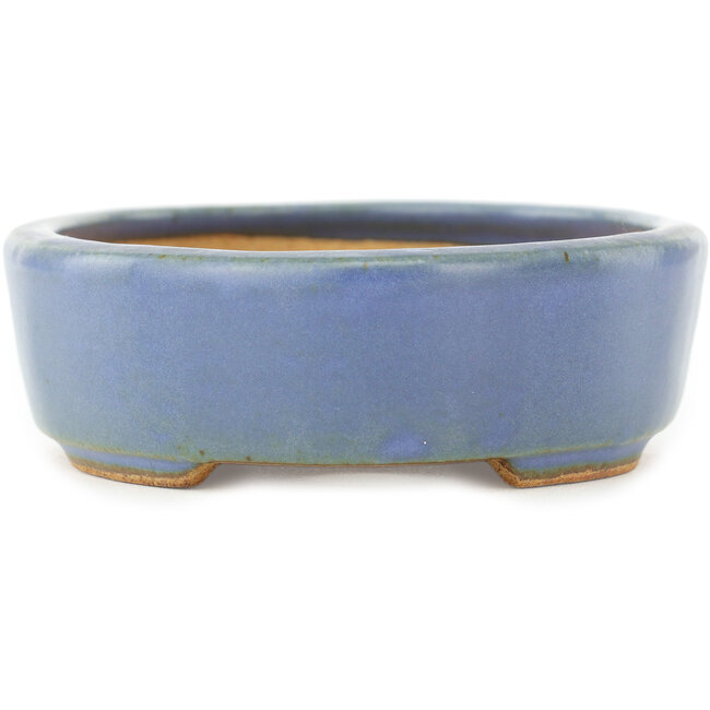 Maceta ovalada azul para bonsái de Hattori - 142 x 110 x 35 mm