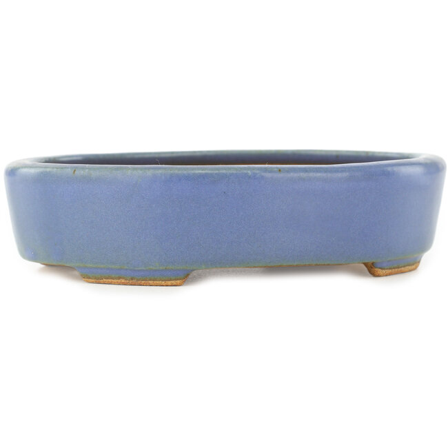 Pot à bonsaï ovale bleu par Hattori - 142 x 110 x 35 mm