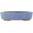 Pot à bonsaï ovale bleu par Hattori - 142 x 110 x 35 mm