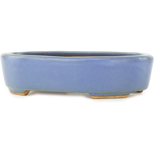 Ovale blauwe bonsai pot van Hattori - 142 x 110 x 35 mm