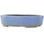 Ovale blauwe bonsai pot van Hattori - 142 x 110 x 35 mm