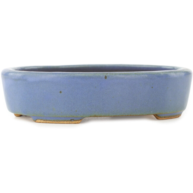 Vaso bonsai ovale blu di Hattori - 142 x 110 x 35 mm