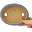 Pot à bonsaï ovale bleu par Hattori - 142 x 110 x 35 mm