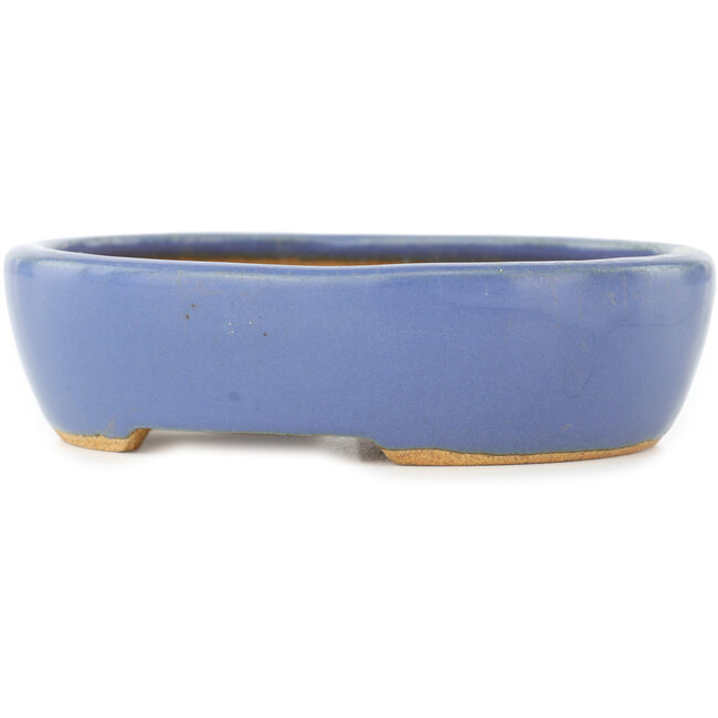 Maceta ovalada azul para bonsái de Hattori - 130 x 105 x 35 mm