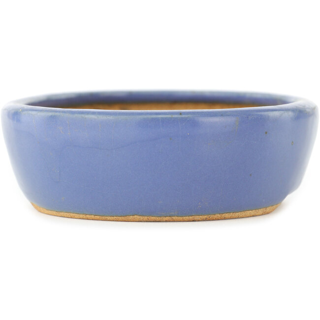 Vaso bonsai ovale blu di Hattori - 130 x 105 x 35 mm