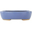 Maceta ovalada azul para bonsái de Hattori - 130 x 105 x 35 mm