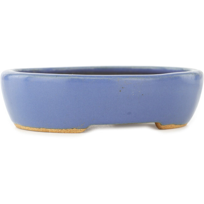 Maceta ovalada azul para bonsái de Hattori - 130 x 105 x 35 mm