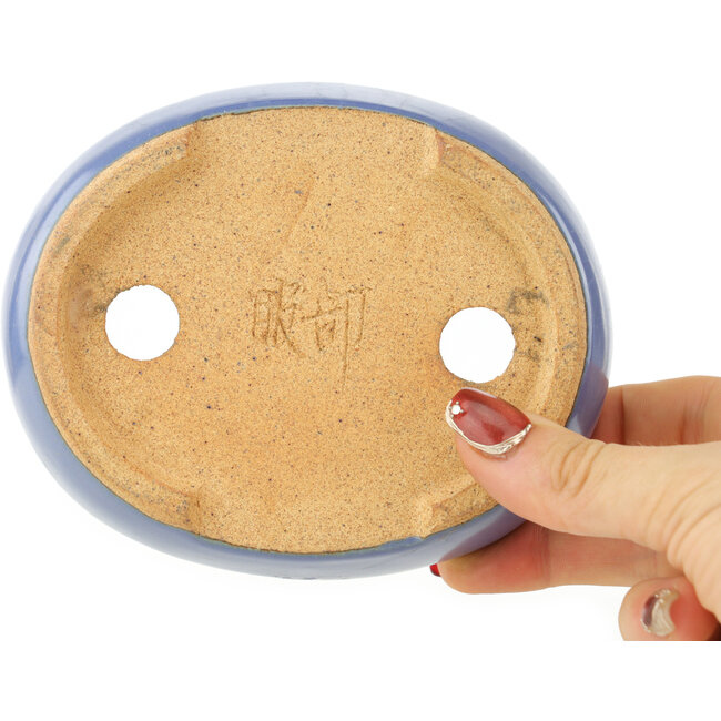Maceta ovalada azul para bonsái de Hattori - 130 x 105 x 35 mm