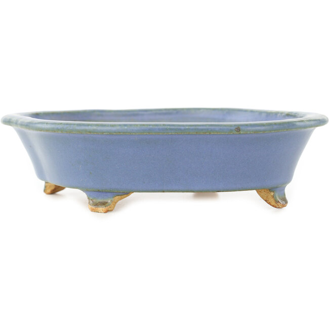 Maceta para bonsái azul Mokko de Hattori - 163 x 140 x 40 mm