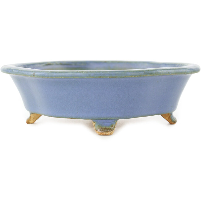 Vaso bonsai Mokko blu di Hattori - 163 x 140 x 40 mm