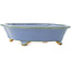 Vaso bonsai Mokko blu di Hattori - 163 x 140 x 40 mm